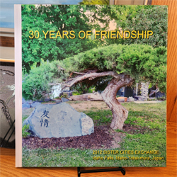 Friendship gift book
